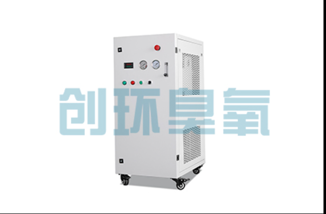 大同工厂化养鲈必看:2026年臭氧发生器替代传统消毒的最新方案