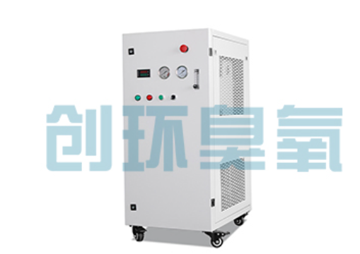 大同石斑鱼养殖水质调控完整指南:臭氧发生器配置与操作步骤