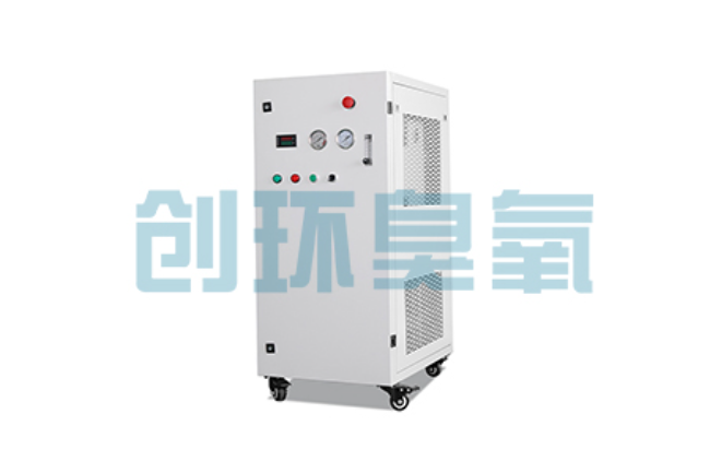 大同比传统换水更高效?臭氧发生器在石斑鱼养殖中的水质净化原理解析