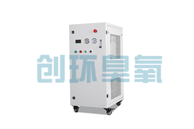 大同比传统换水更高效？臭氧发生器在石斑鱼养殖中的水质净化原理解析